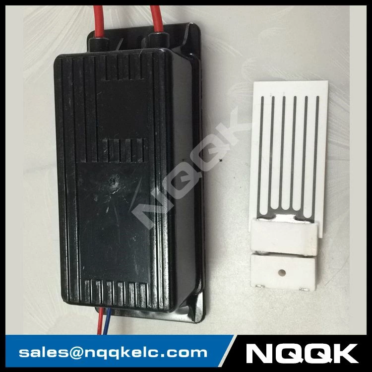 2g 2000mg Chip Ozone generator