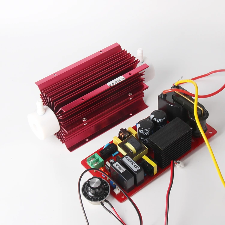 High Concentration Low Temperature 10 g/hr g hr 220V 110V adjust Quartz Tube Ozone Generator