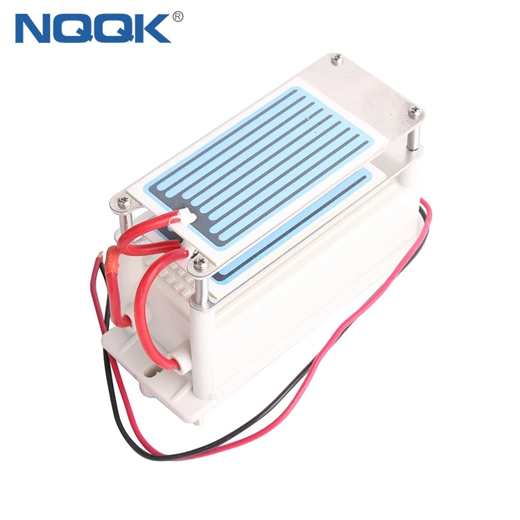 10g 10g/h 110V 200V AC 2 piece Ceramic One Chip Plate small ozone generator