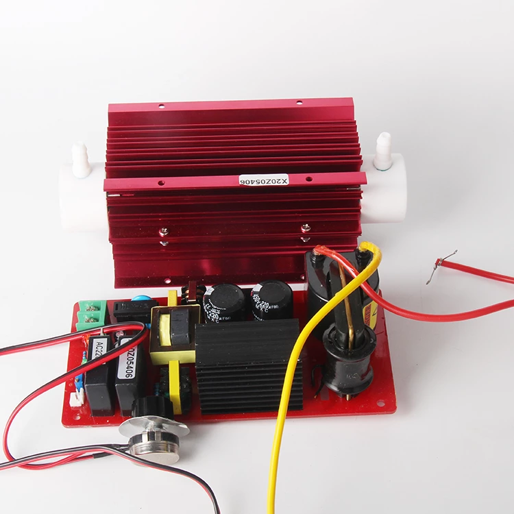 High Concentration Low Temperature 10 g/hr g hr 220V 110V adjust Quartz Tube Ozone Generator
