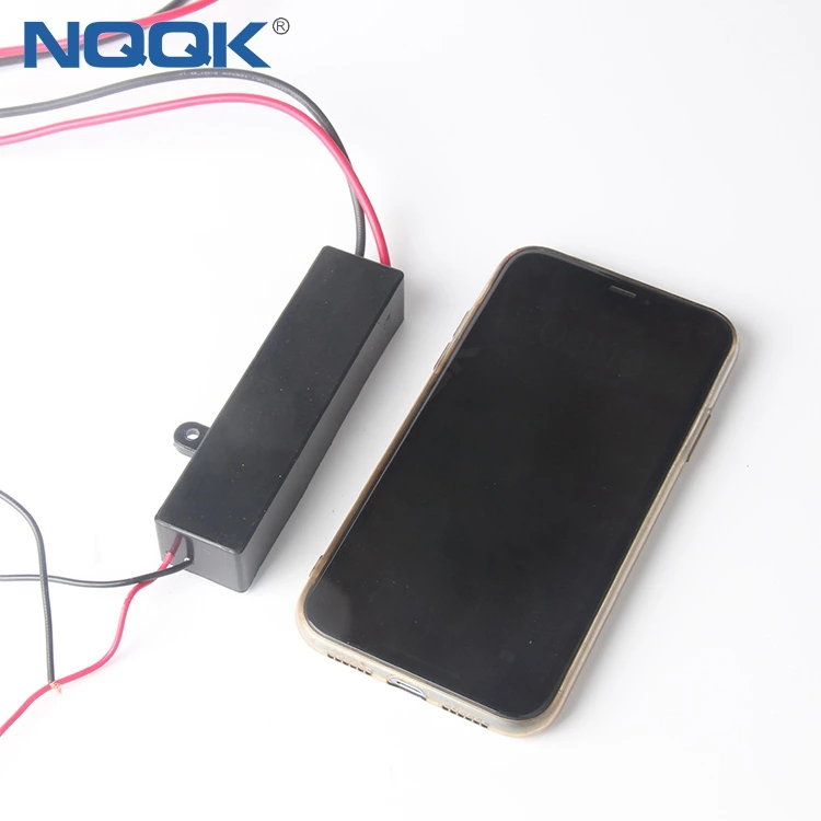 5v 500mg Slice Ozone Generator High-voltage Electrostatic Generator Electrostatic Sprayer Air Purification