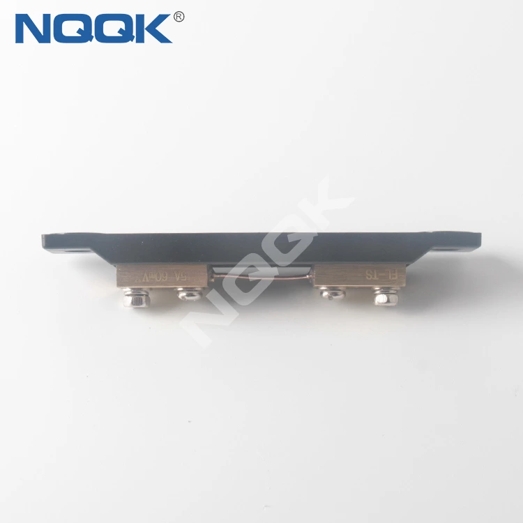 FL-TS 5A 60mV dc current Shunt Resistors