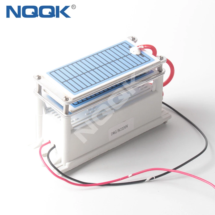 24g 24g/h 220VAC 110VAC 12VDC 24VDC Ceramic One Chip Plate small ozone generator