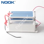 24g 24g/h 220VAC 110VAC 12VDC 24VDC Ceramic One Chip Plate small ozone generator